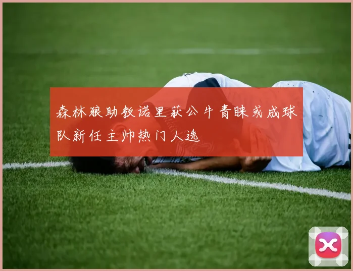 森林狼助教诺里获公牛青睐或成球队新任主帅热门人选