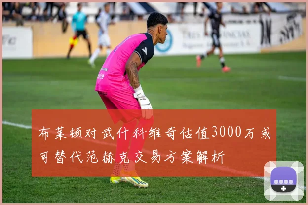 布莱顿对武什科维奇估值3000万或可替代范赫克交易方案解析