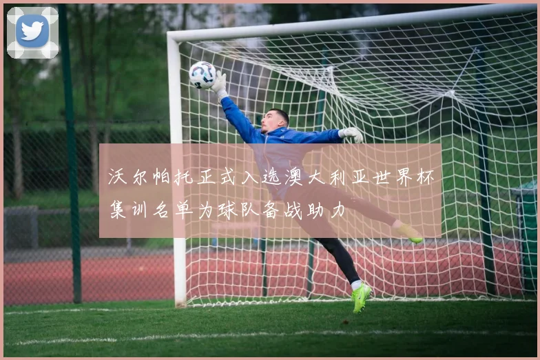 沃尔帕托正式入选澳大利亚世界杯集训名单为球队备战助力